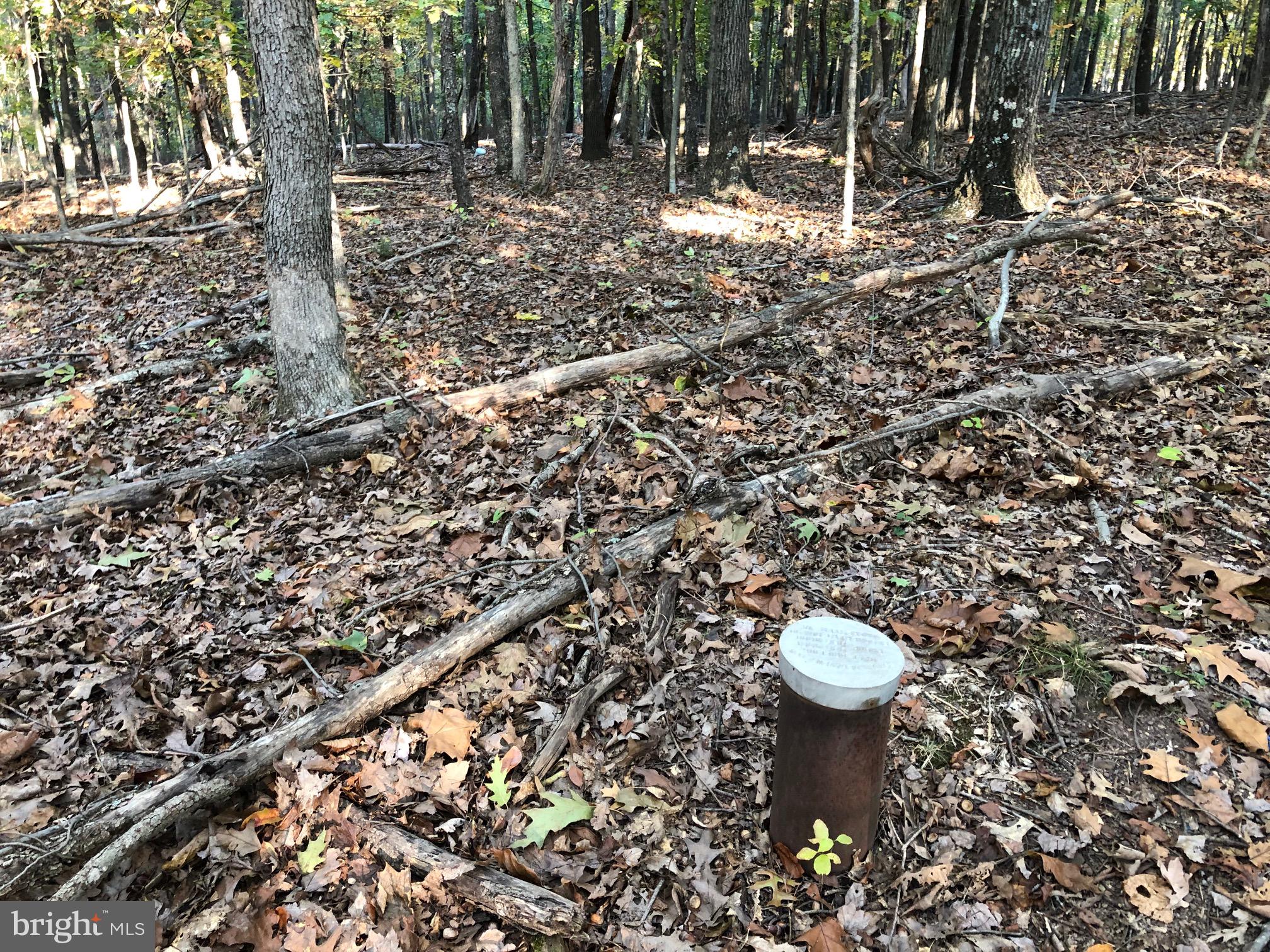 0 Fletcher Road Gore, VA 22637 - Photo 7 of 13 Call for the well report...Yes, it works.