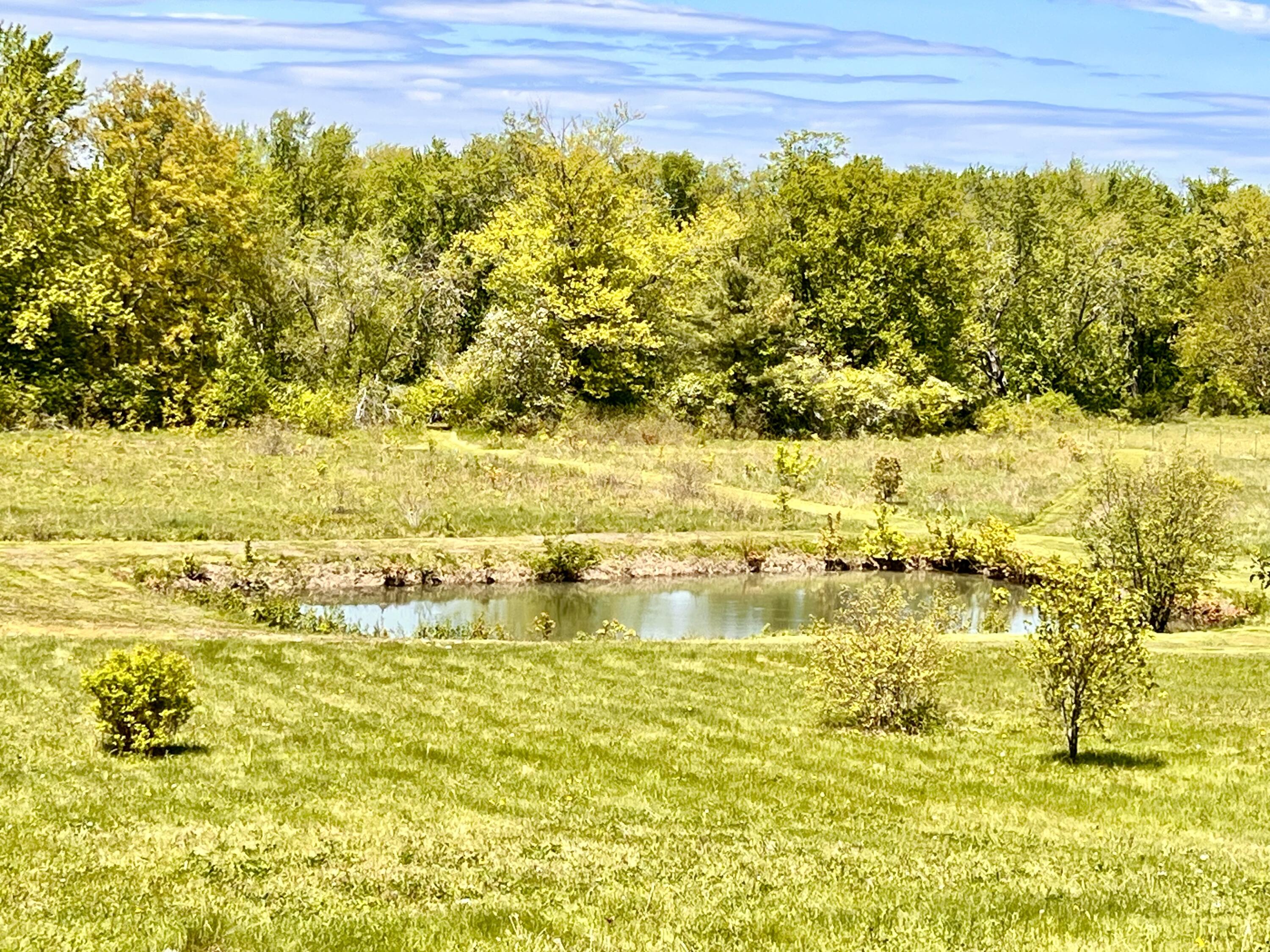 138 Reardon Road Milo, ME 04463 - Photo 15 of 123 Pond and Fields