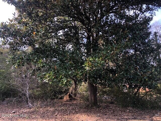 5109 Pine Street Wilmington, NC 28403 - Photo 15 of 19 18