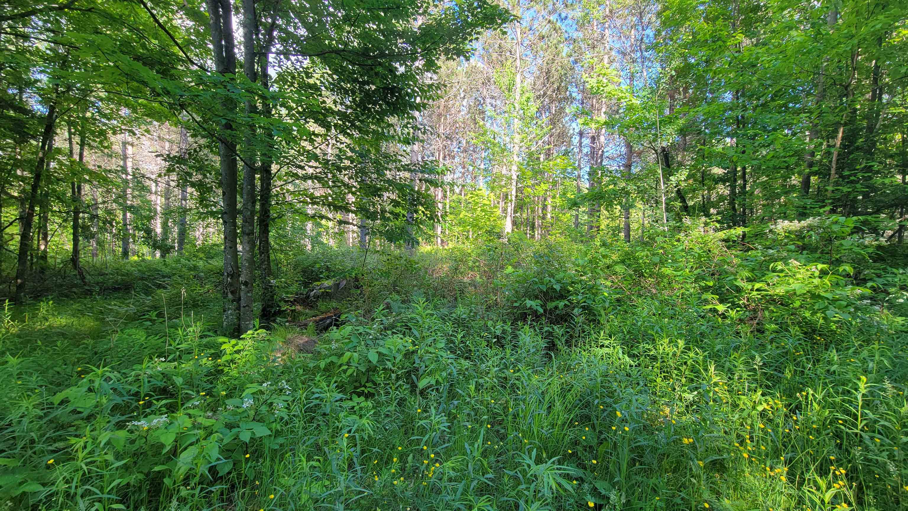 On Hunting River Road Summit Lake, WI 54485 - Photo 3 of 10