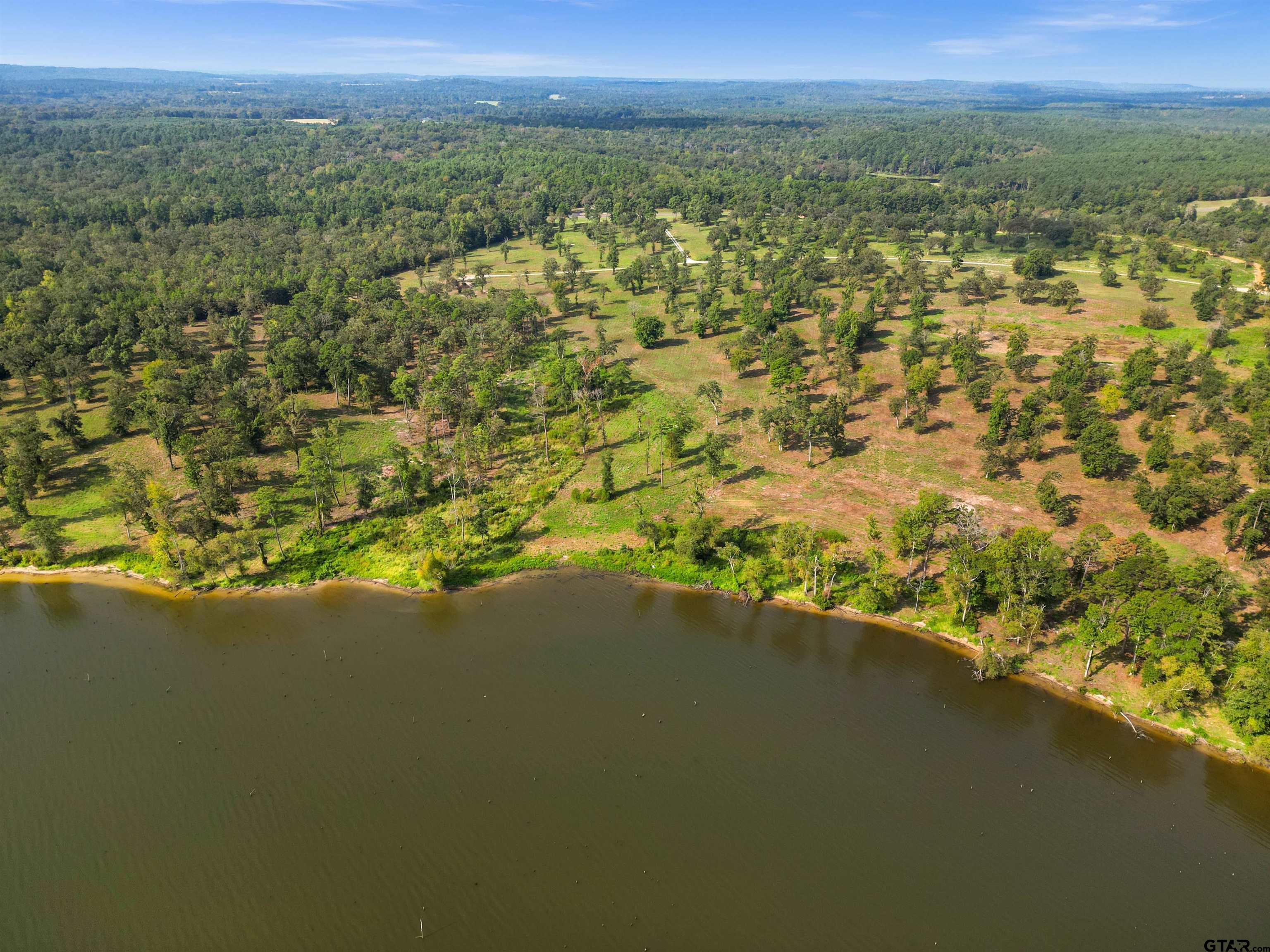 0 Fm 3506 Chandler, TX 75758 - Photo 11 of 23