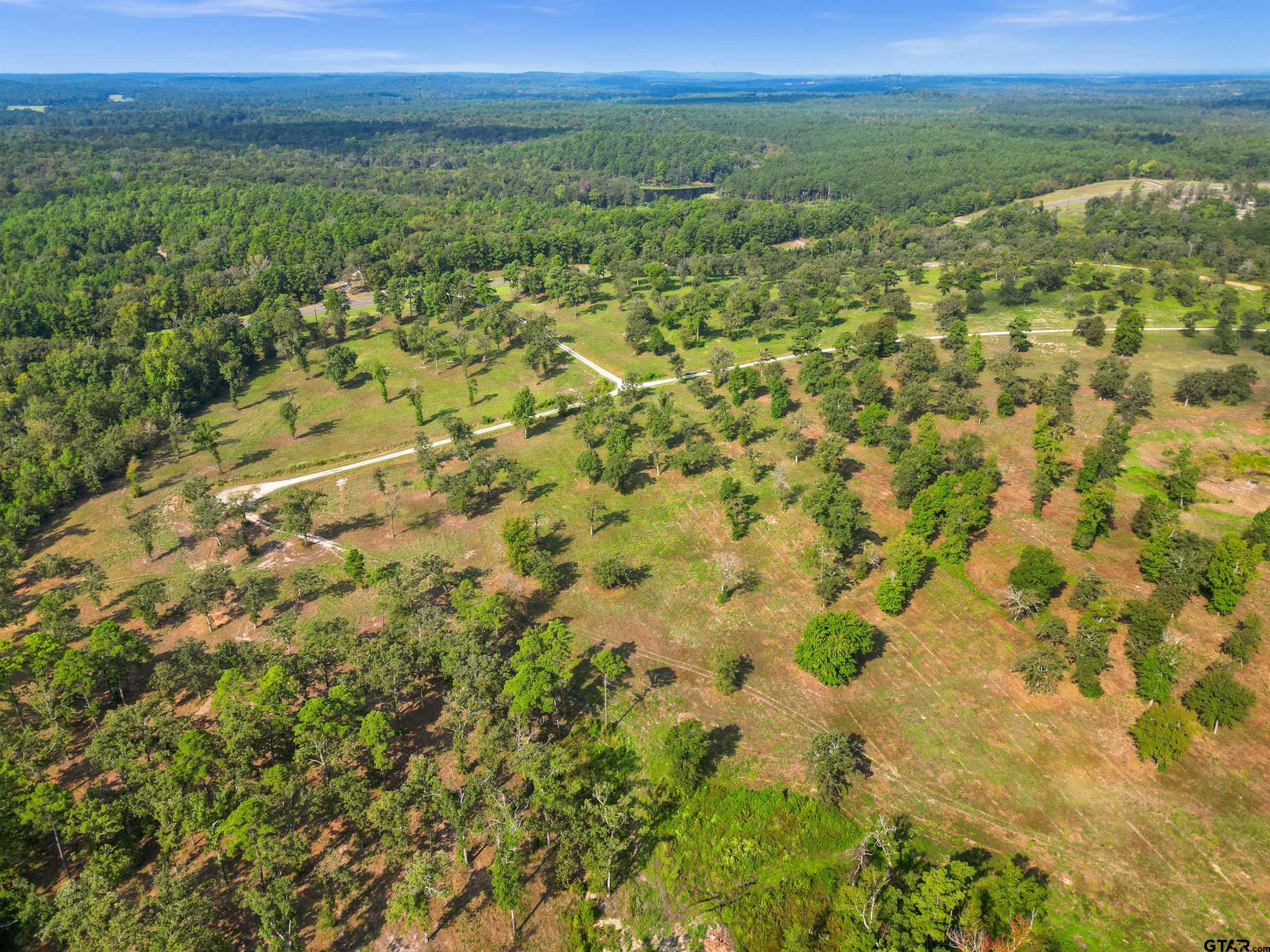 0 Fm 3506 Chandler, TX 75758 - Photo 12 of 23