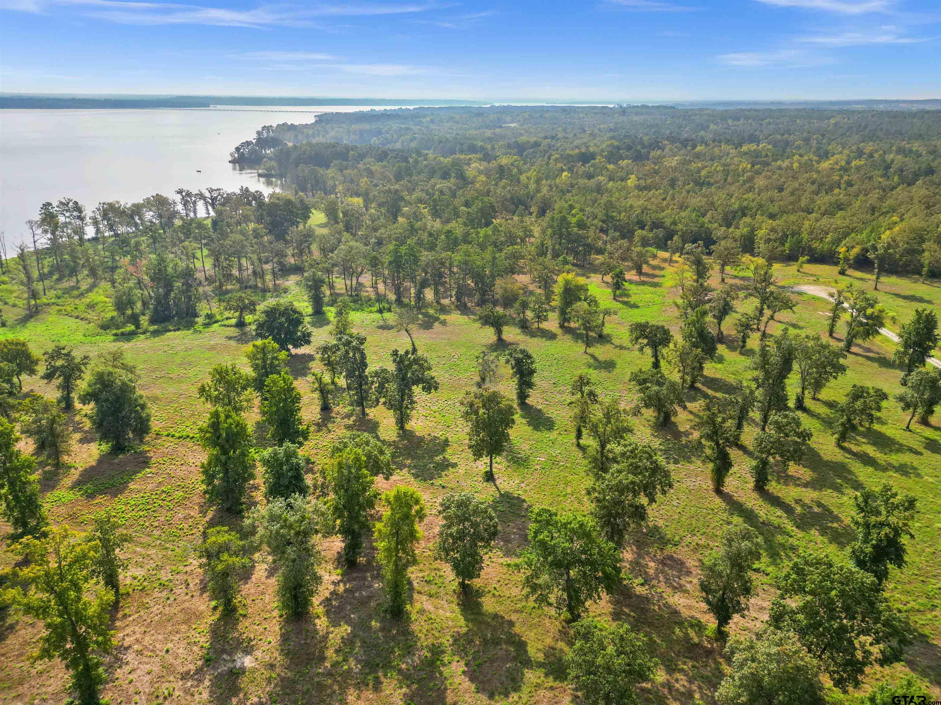 0 Fm 3506 Chandler, TX 75758 - Photo 17 of 23