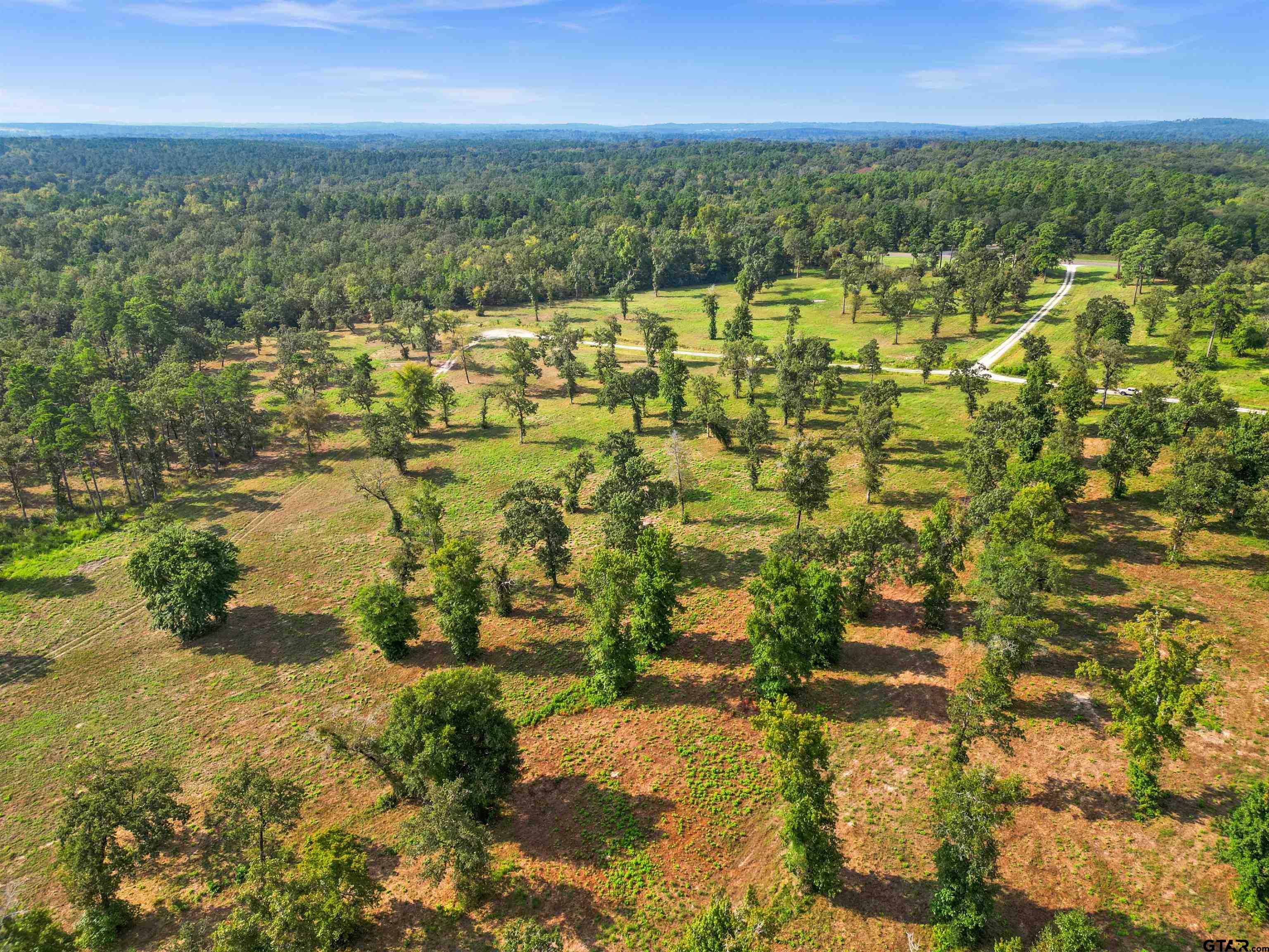 0 Fm 3506 Chandler, TX 75758 - Photo 18 of 23