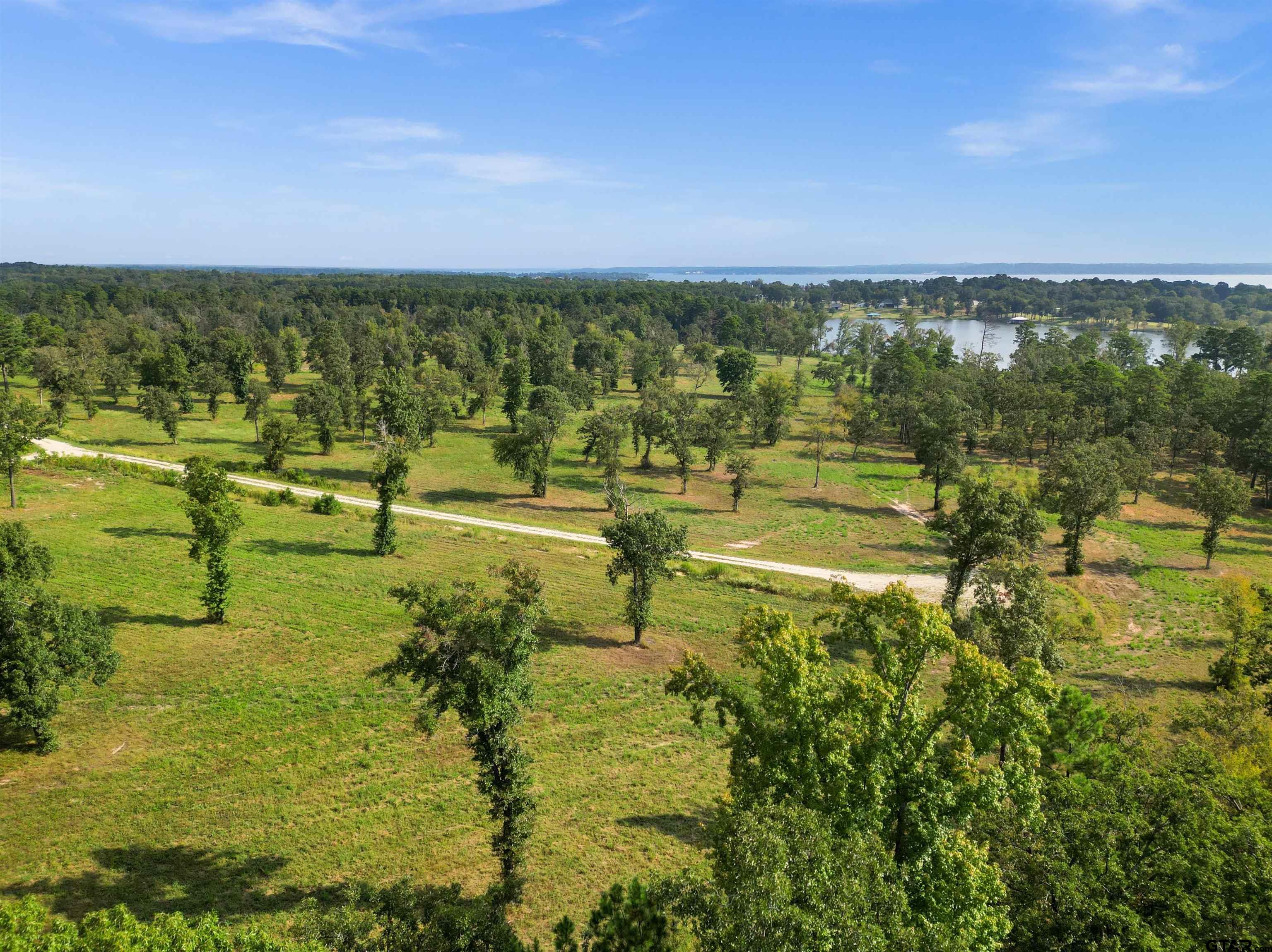 0 Fm 3506 Chandler, TX 75758 - Photo 21 of 23