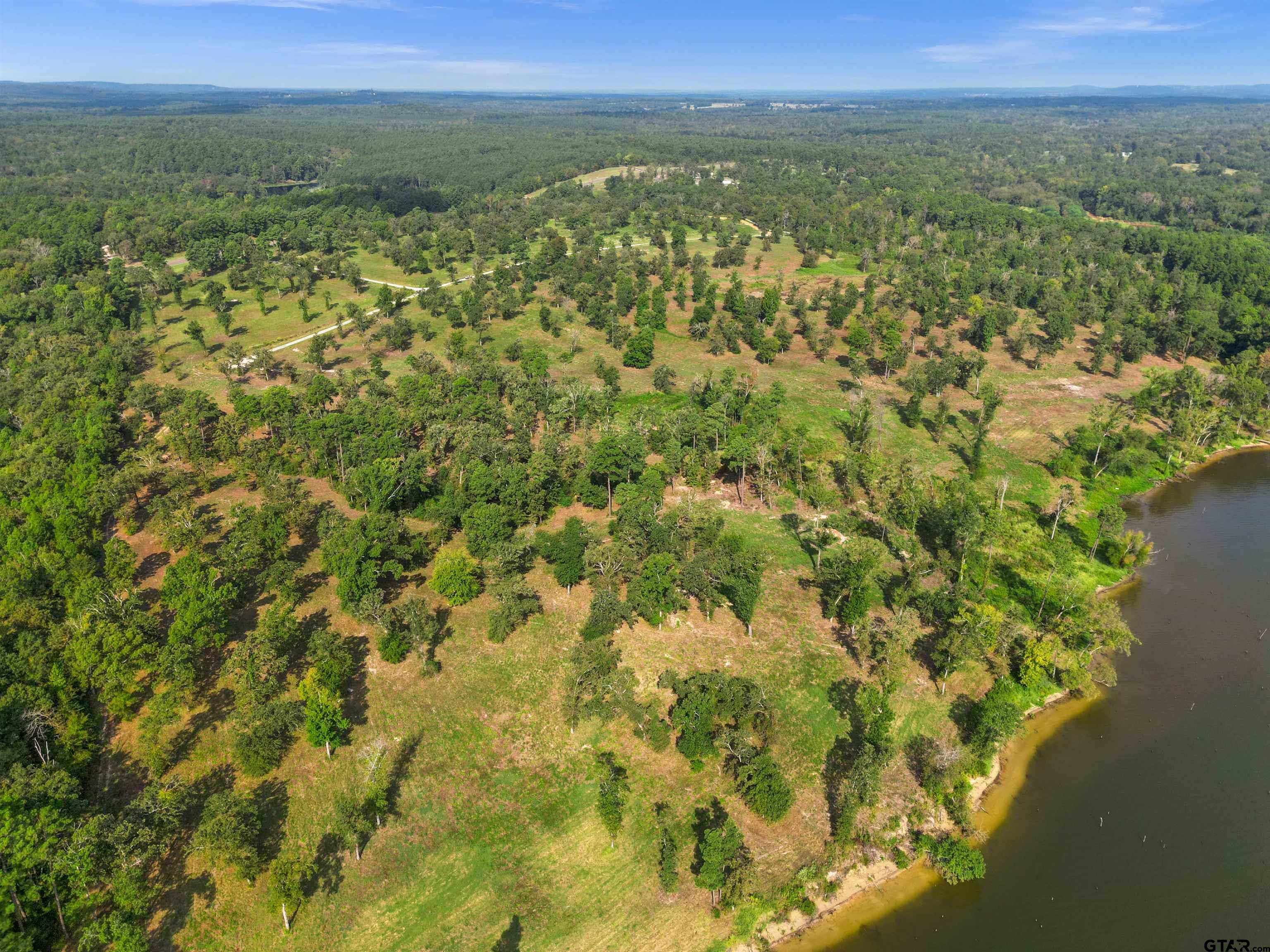 0 Fm 3506 Chandler, TX 75758 - Photo 8 of 23