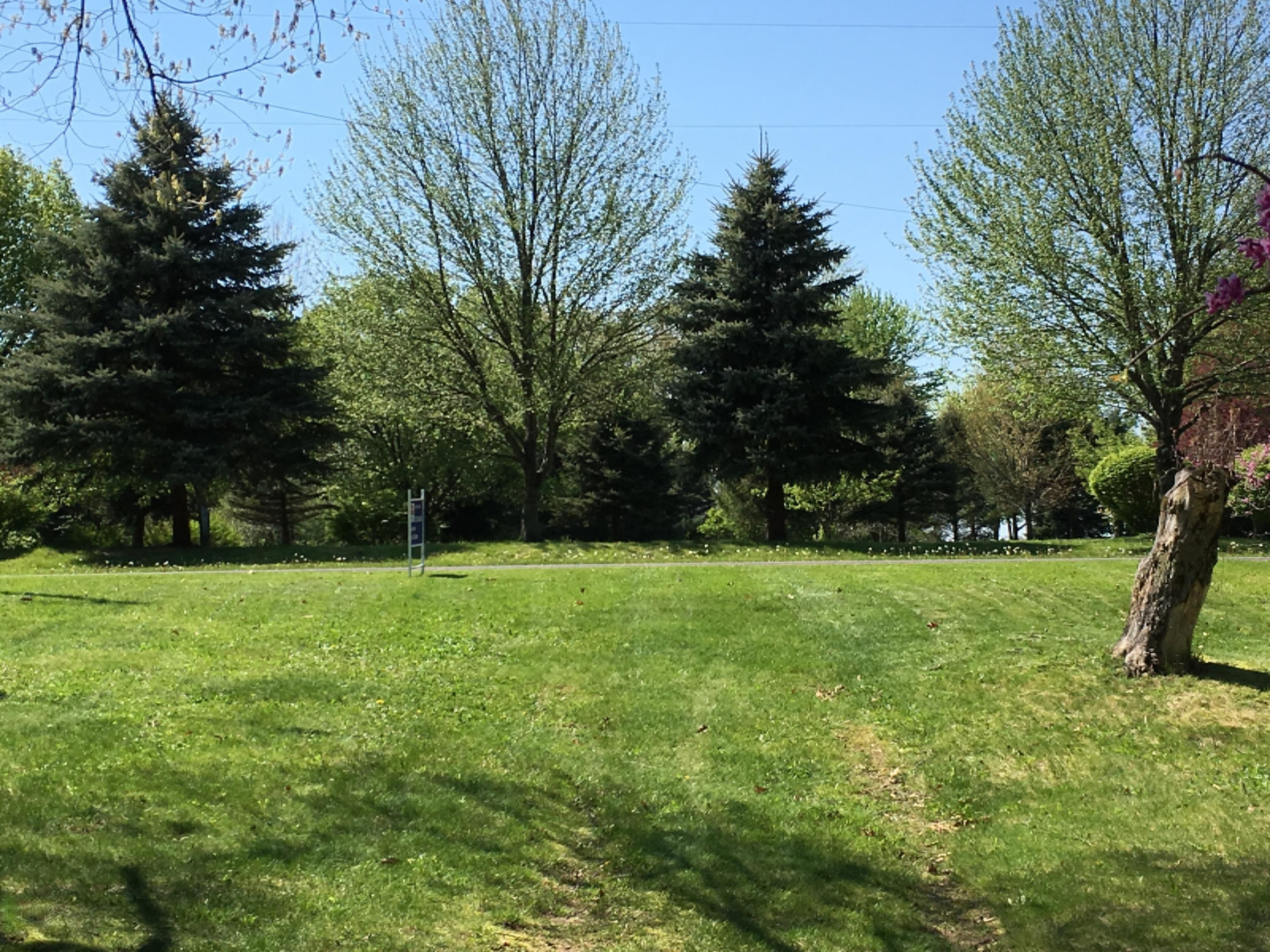 60781 West Oak Drive Decatur, MI 49045 - Photo 5 of 19 IMG_0126