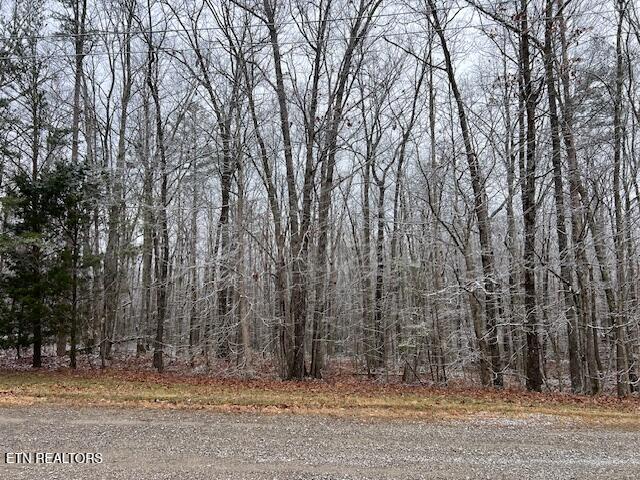 8-9 Slack Place Monterey, TN 38574 - Photo 2 of 6 12 4