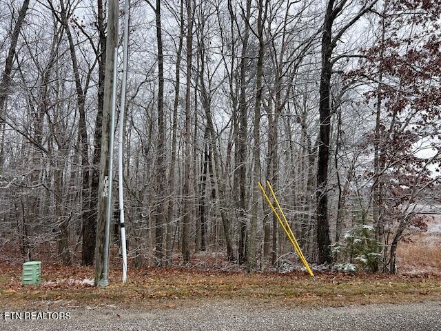 8-9 Slack Place Monterey, TN 38574 - Photo 3 of 6 12 4 3