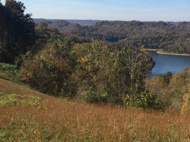 Silver View Lane Silver Point, TN 38582 - Photo 5 of 7 IMG_9461