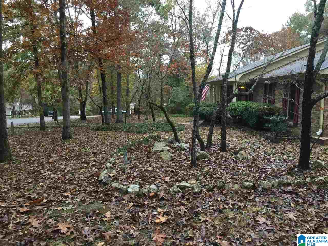 250 Hunting Ridge Drive Cropwell, AL 35054 - Photo 35 of 48