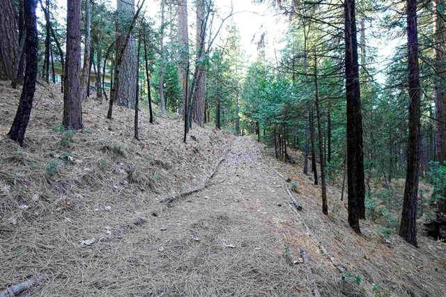 $849,000 | 17400 Mt Elizabeth Drive, Sonora, CA 95370