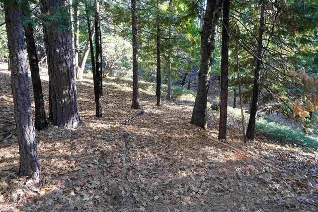 $849,000 | 17400 Mt Elizabeth Drive, Sonora, CA 95370