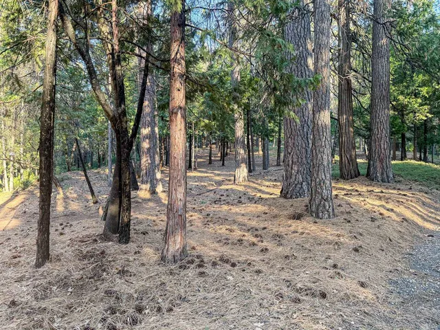 $849,000 | 17400 Mt Elizabeth Drive, Sonora, CA 95370