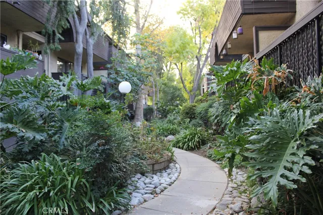 a view of a garden from a garden