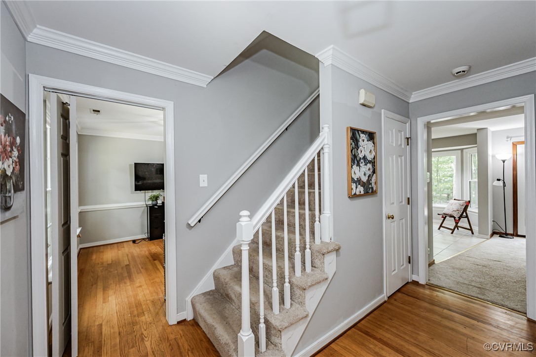 2304 Shadow Ridge Court Midlothian, VA 23112 - Photo 22 of 46