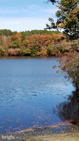 a view of ocean with mountain