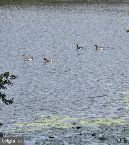 $517,400 | 25345 Mallard Drive, Seaford, DE 19973