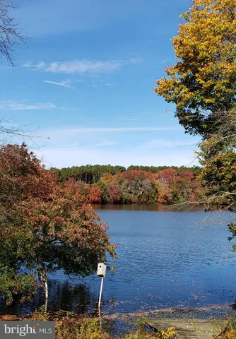 a view of a lake with a mountain in the background