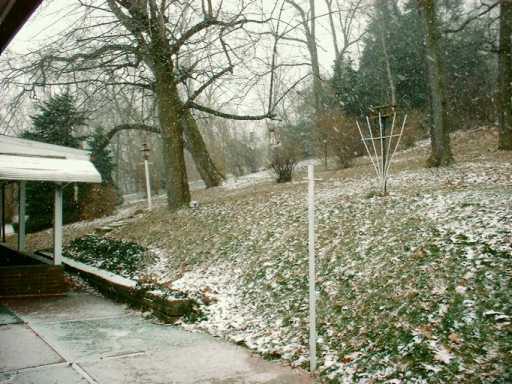 253 Emerson Road Pittsburgh, PA 15209 - Photo 7 of 8 Yard/Garden.