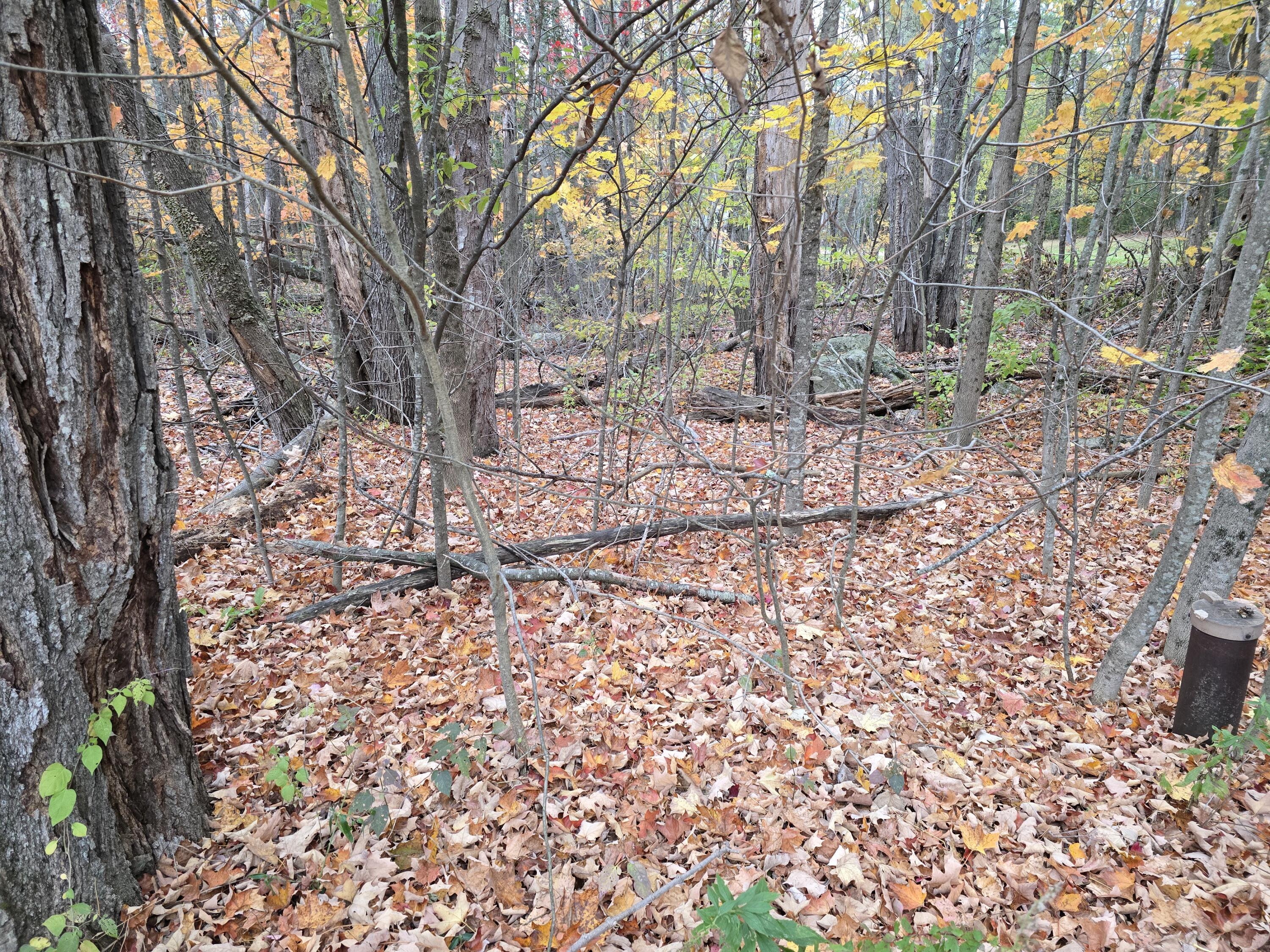 8 Outlet Road Augusta, ME 04330 - Photo 7 of 9 1000011817