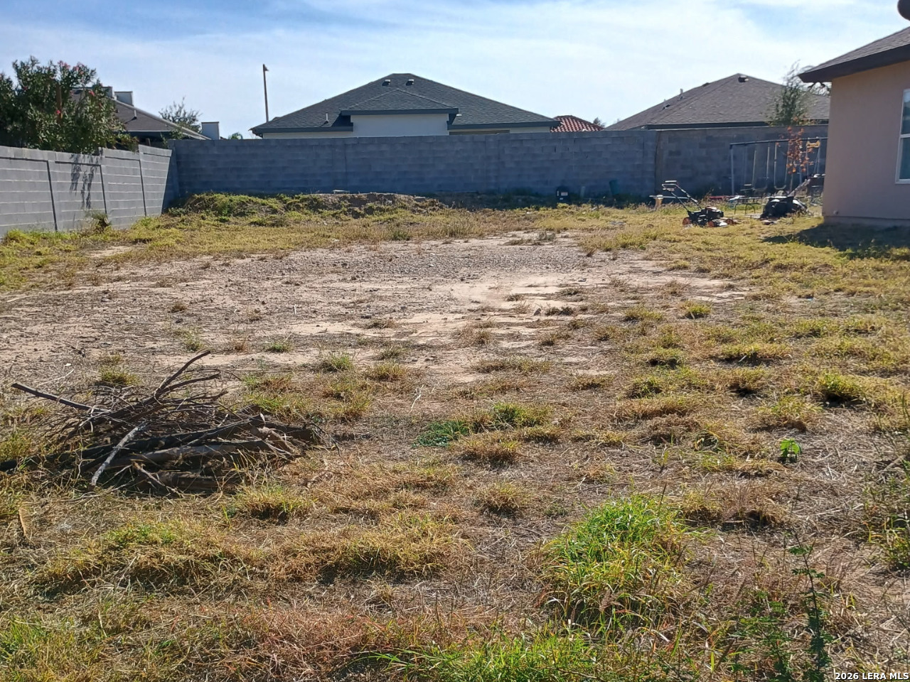 1427 Riddle Drive Laredo, TX 78046 - Photo 3 of 4