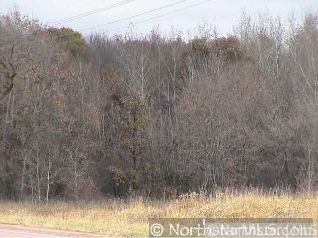 Xxx Golden Spike Road Northeast Foley, MN 56329 - Photo 3 of 5 Gallery Image 3