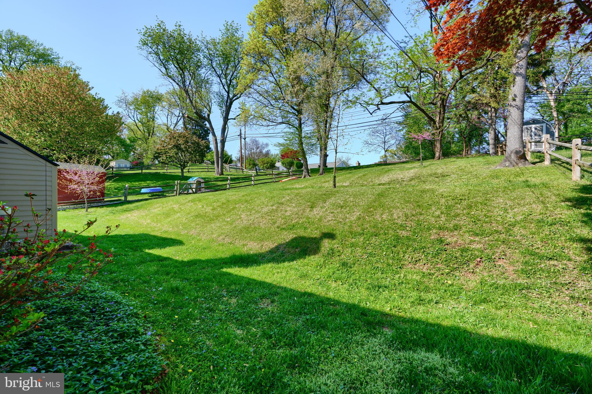 1316 Glendale Road Baltimore, MD 21239 - Photo 36 of 37 a view of a backyard with large trees