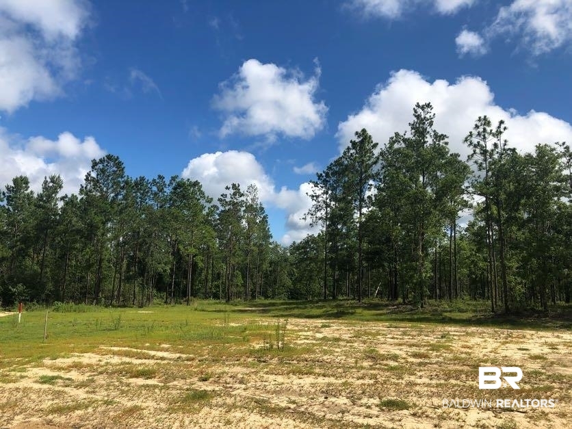 12359 Red Hill Rd Extension Bay Minette, AL 36507 - Photo 5 of 16