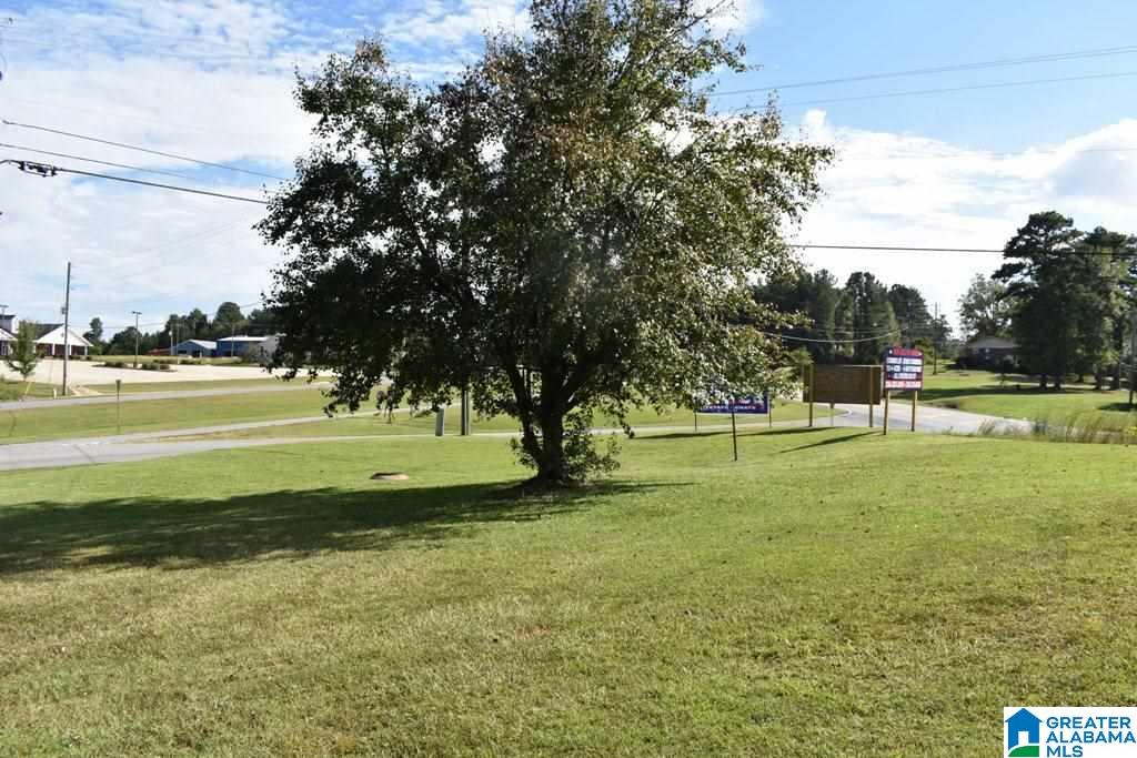 141 Highway 431 Wedowee, AL 36278 - Photo 3 of 11