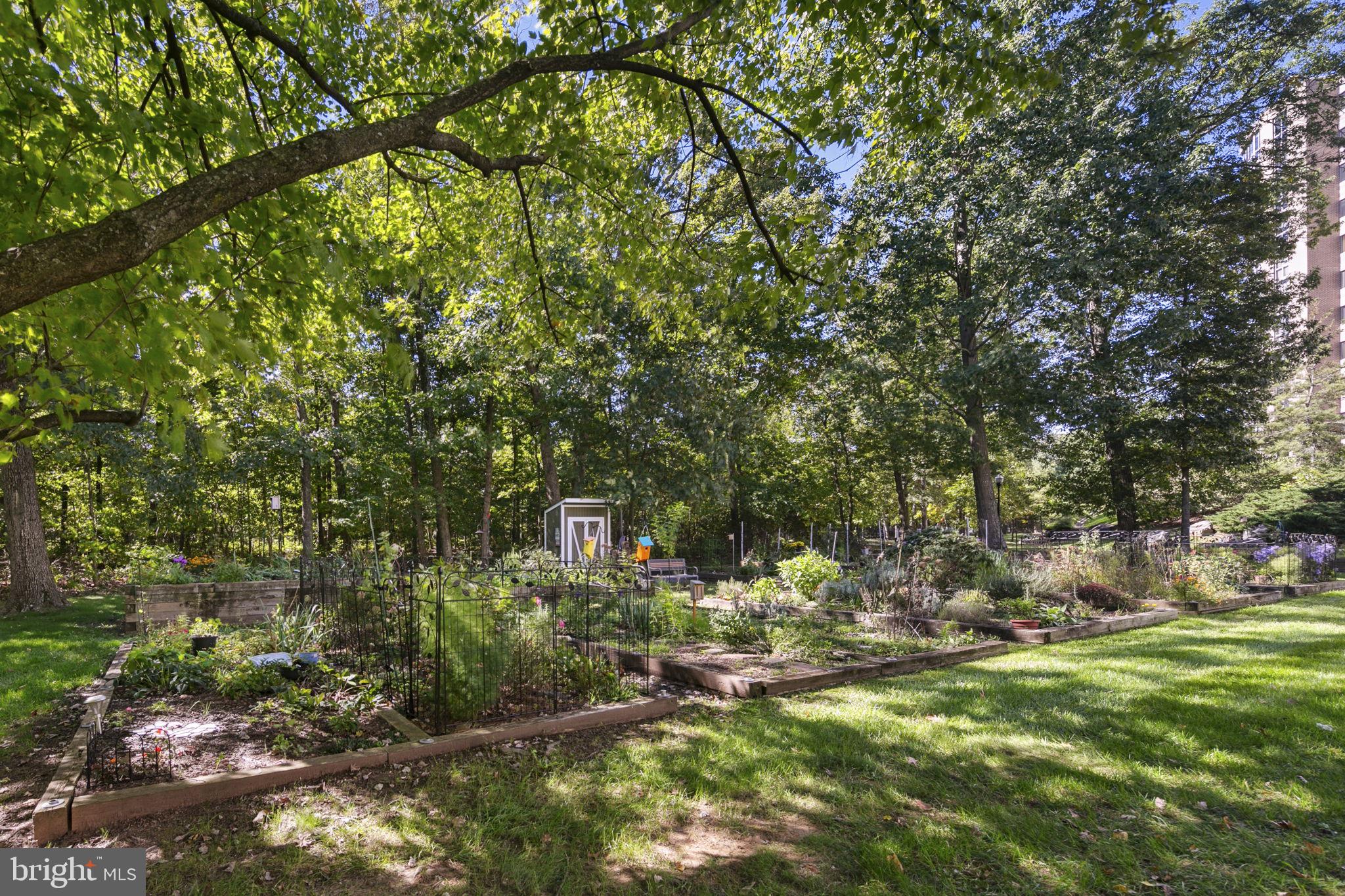 19355 Cypress Ridge Terrace, Unit 803 Leesburg, VA 20176 - Photo 32 of 38 a view of outdoor space yard and green space
