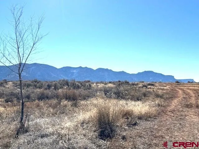 a view of a house with a mountain
