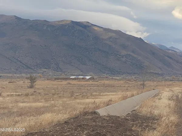 a view of a dry yard