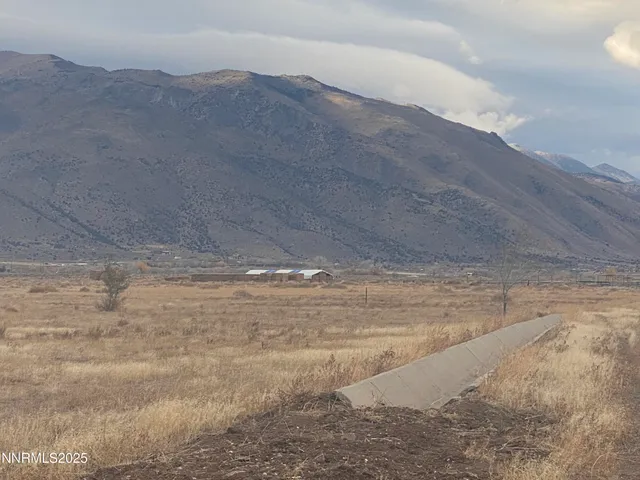 a view of a dry yard