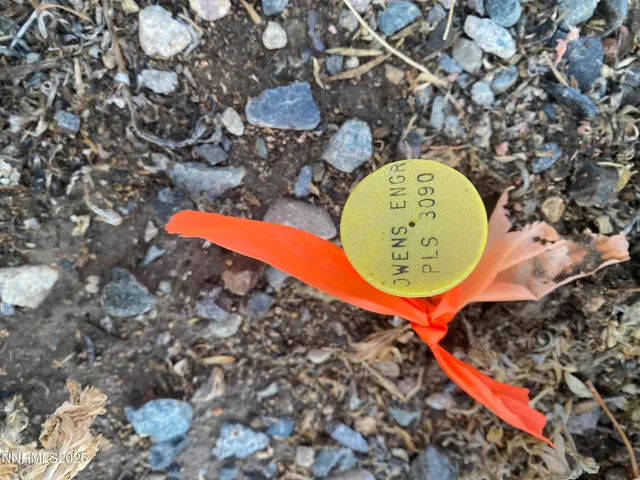 an aerial view of a swimming pool with a yard and a fountain