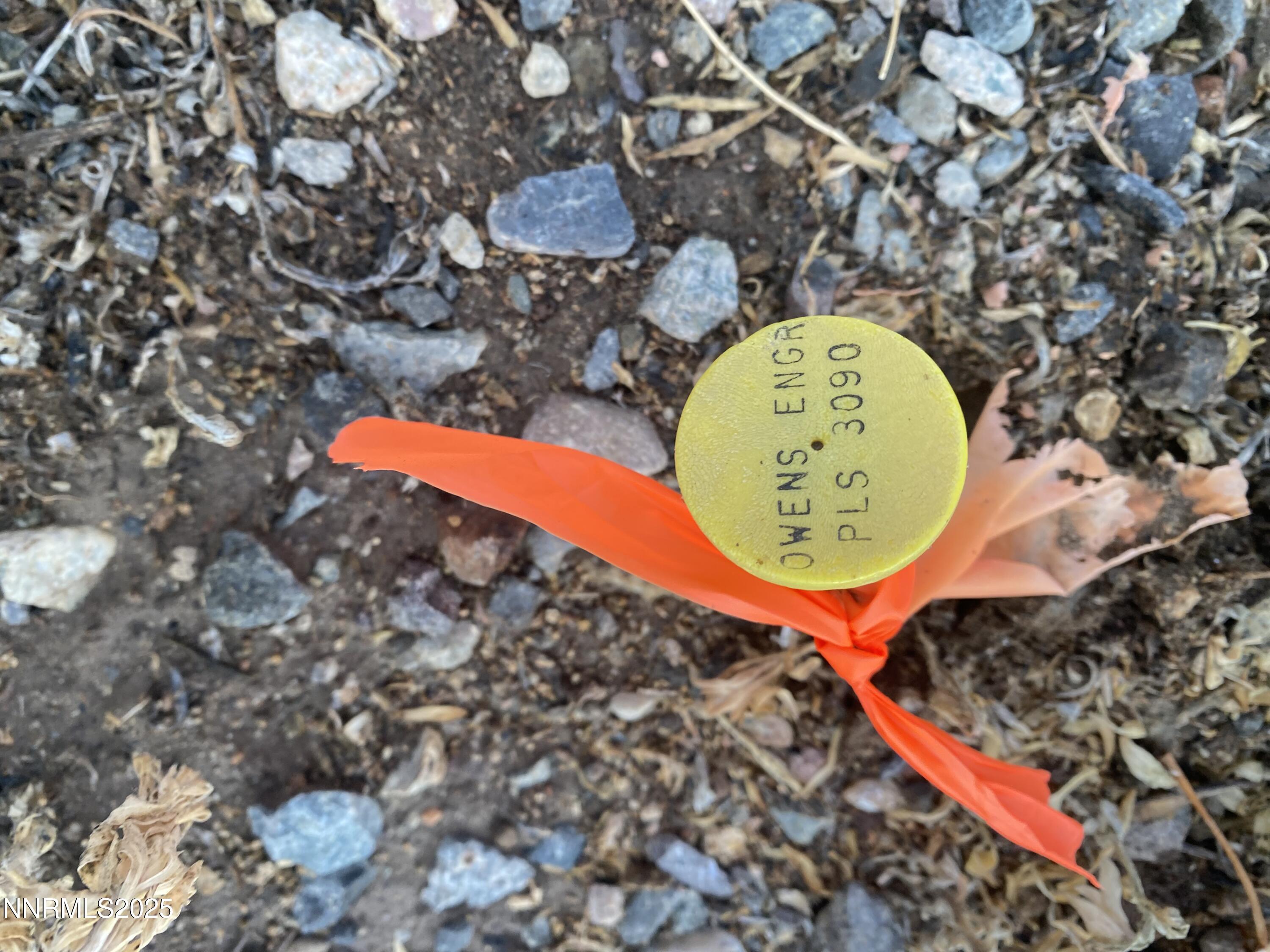 78 Old Ranch Road Smith Valley, NV 89430 - Photo 6 of 12 an aerial view of a swimming pool with a yard and a fountain