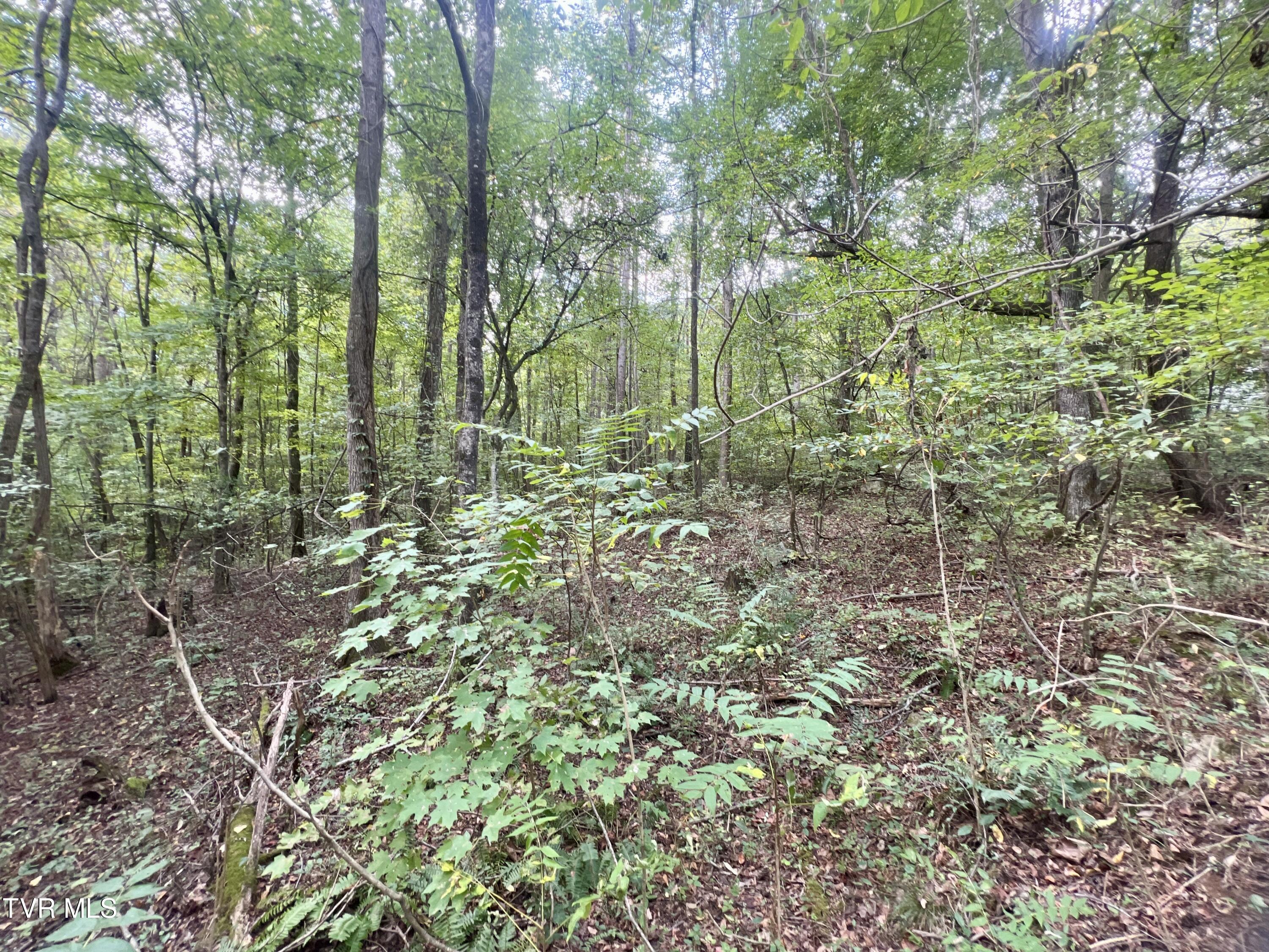 340 South Highway 340 Del Rio, TN 37727 - Photo 7 of 25 _Pic7 (25)