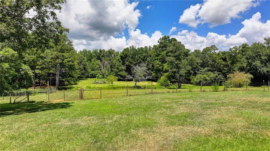 3601 Youth Monroe Road Loganville, GA 30052 - Photo 39 of 54