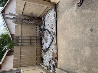 307 West William Cannon Drive, Unit A Austin, TX 78745 - Photo 12 of 14 a view of a backyard