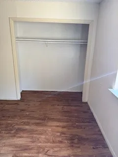 a view of an empty walk in closet