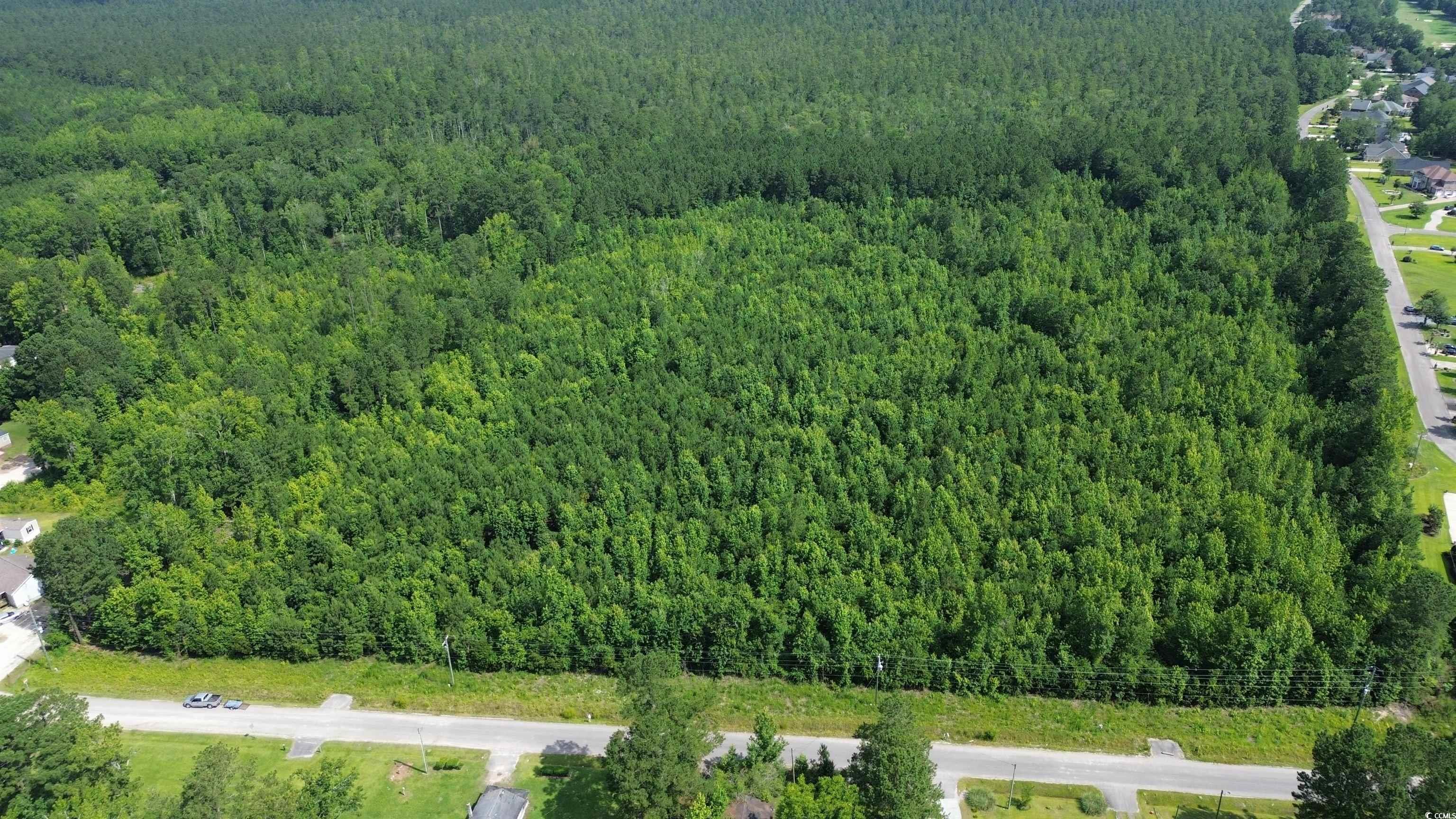 Tbd Elbow Road Longs, SC 29568 - Photo 13 of 14 Aerial view of a heavily wooded area