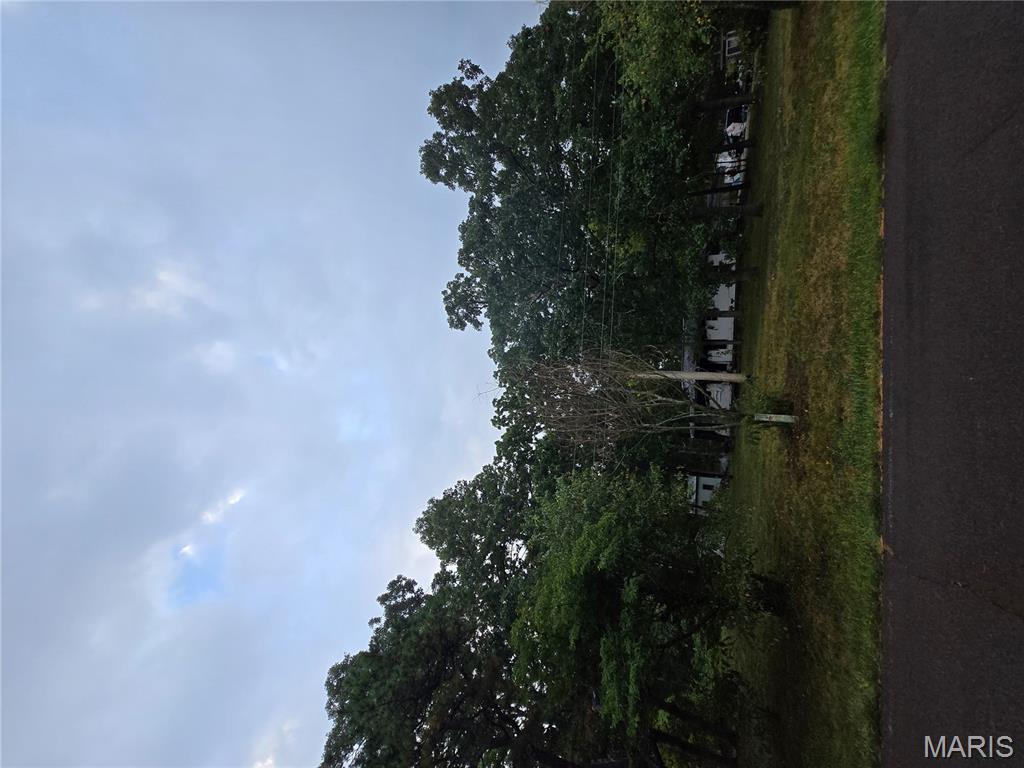 10021 Lark Road Potosi, MO 63664 - Photo 5 of 21