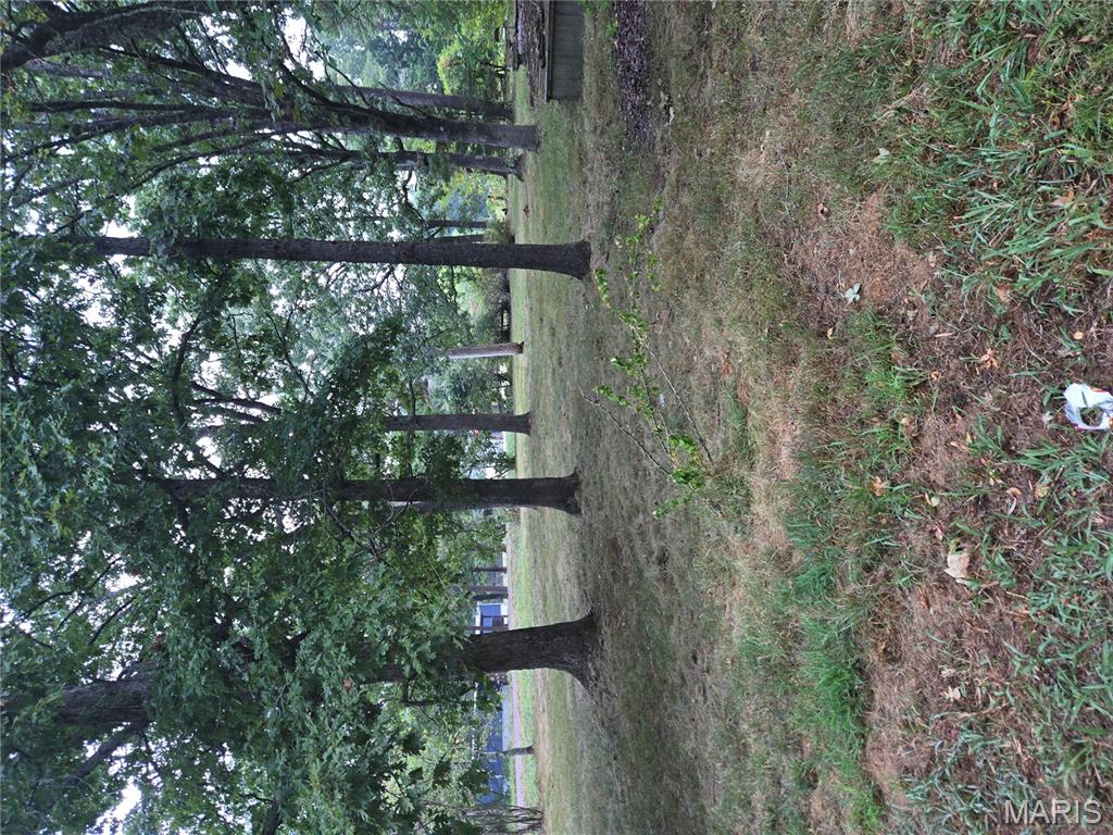 10021 Lark Road Potosi, MO 63664 - Photo 10 of 21