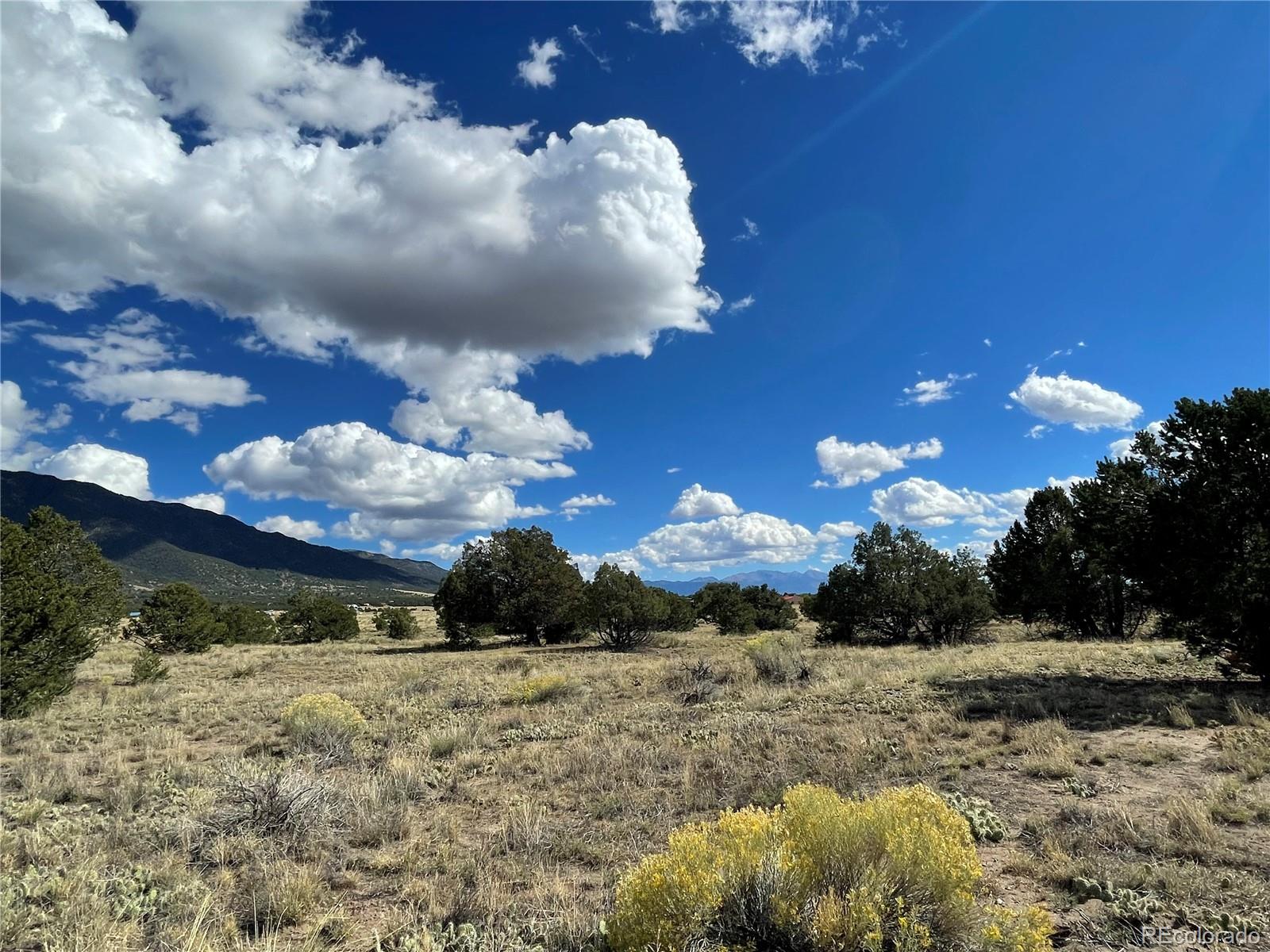 10 Brook Trout Road Crestone, CO 81131 - Photo 3 of 12 a view of a yard