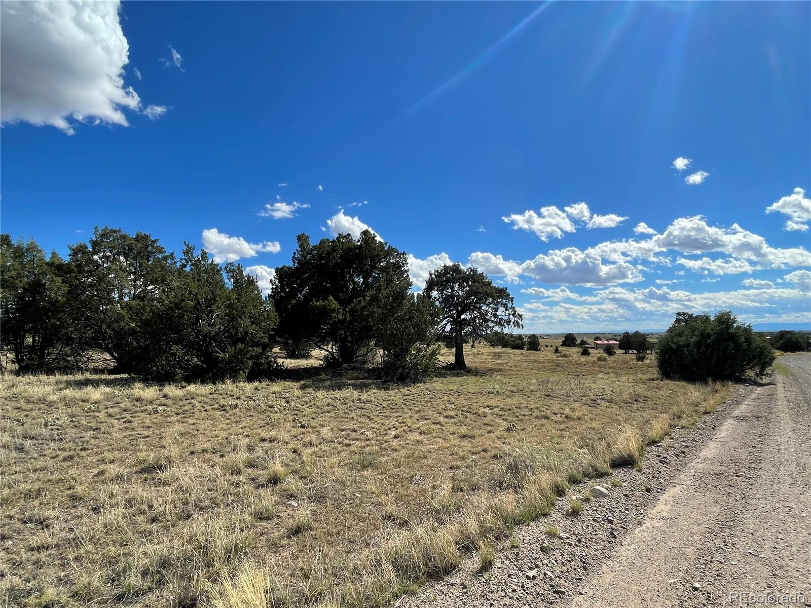 10 Brook Trout Road Crestone, CO 81131 - Photo 4 of 12 a view of a yard with mountain