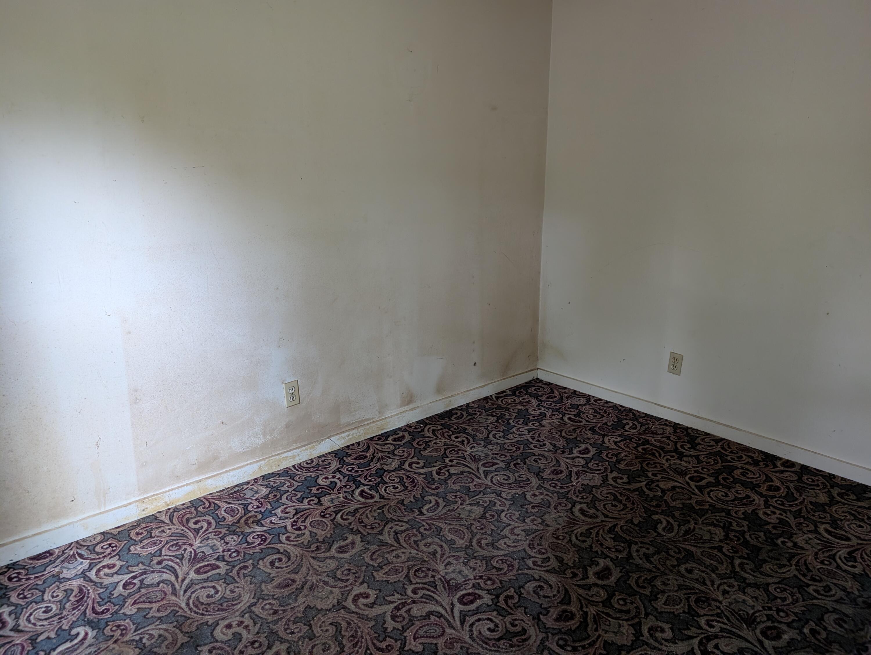 2819 Adams Road Niles, MI 49120 - Photo 11 of 12 PXL_20250923_212436626