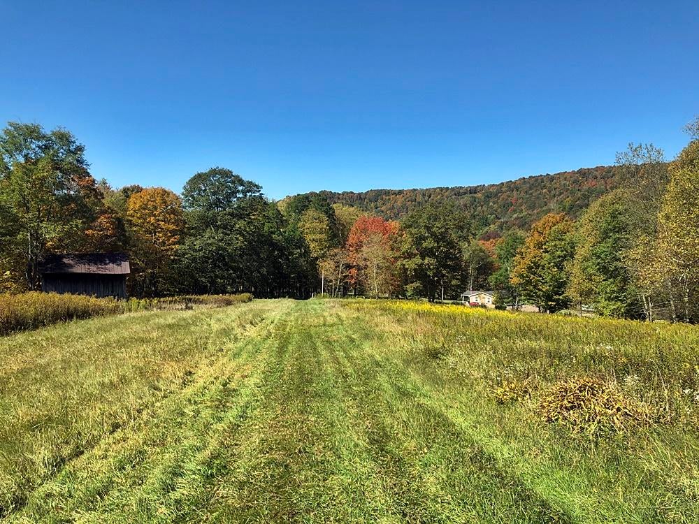 Dry Branch Road Slatyfork, WV 26291 - Photo 6 of 9 Gallery Image 6