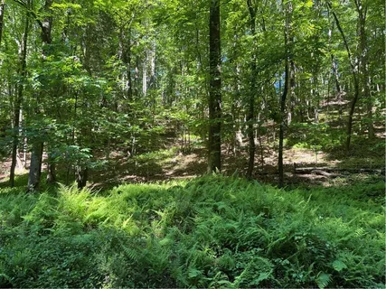 $21,900 | 0 Walhalla Court, Ellijay, GA 30540
