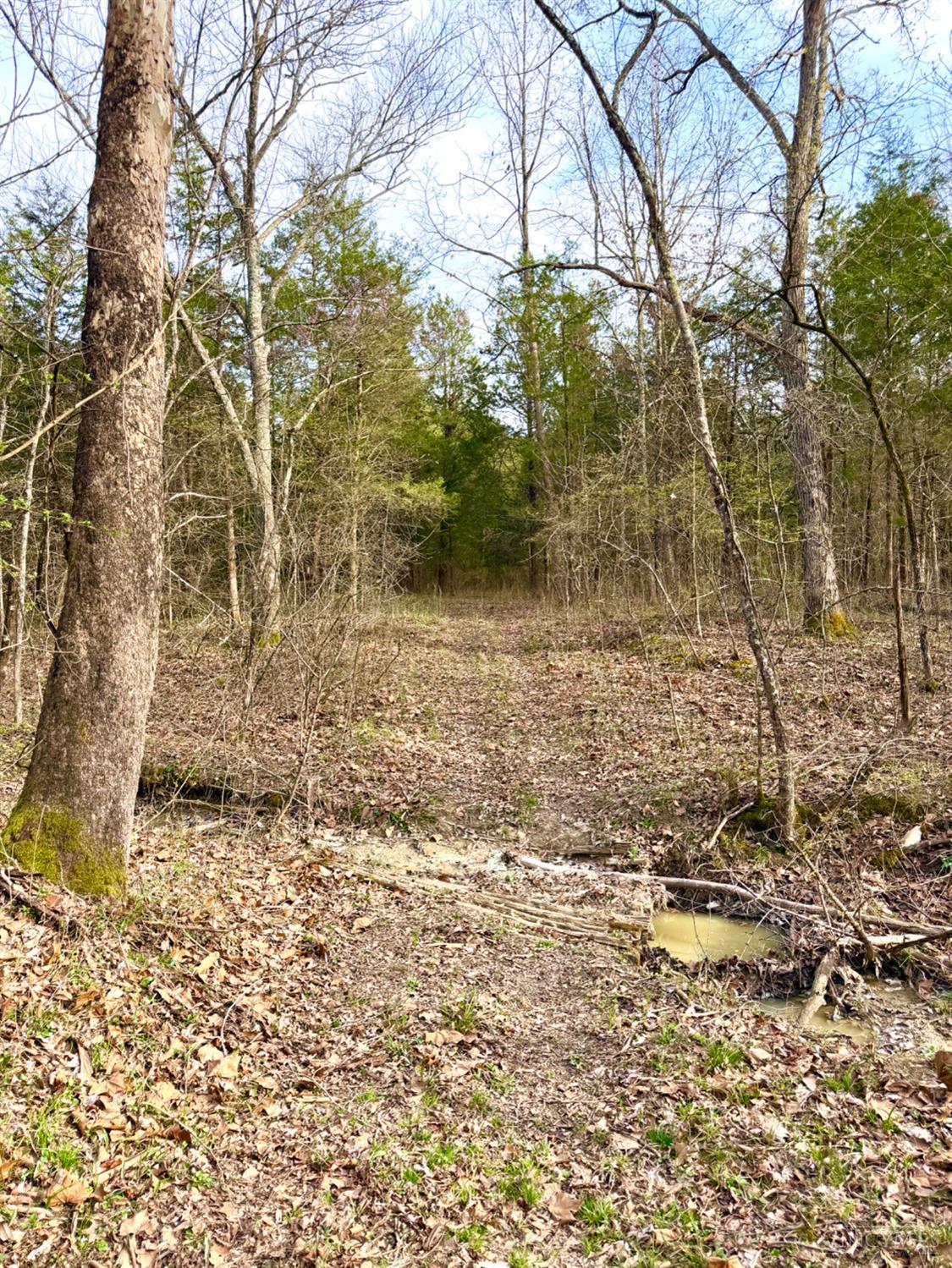 1600 Magee Jones Road Peebles, OH 45660 - Photo 39 of 91