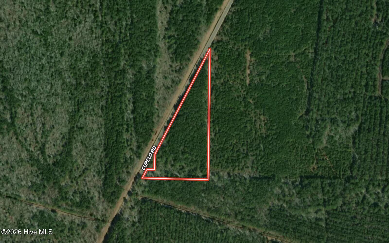 0 Cupelo Road Farmville, NC 27828 - Photo 17 of 18 Gallery Image 17